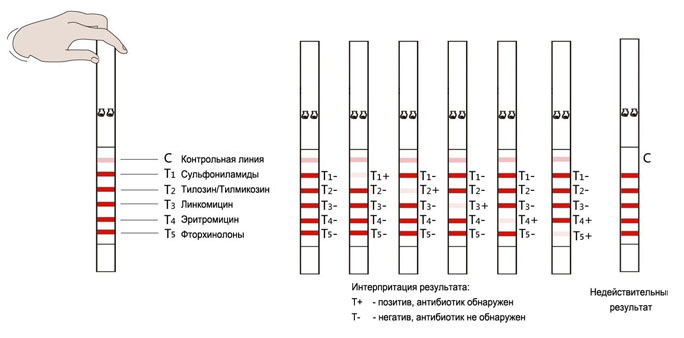 Тесты на антибиотики в молоке - Виртуальное отображение результатов