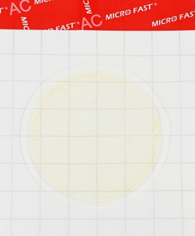 LR1001 Подложка для определения КМАФАнМ Майкрофаст (MicroFast® Aerobic Count Plate)