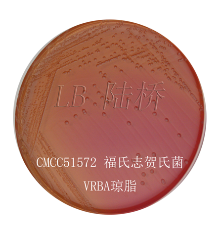 Shigella flexneri CMCC 51572