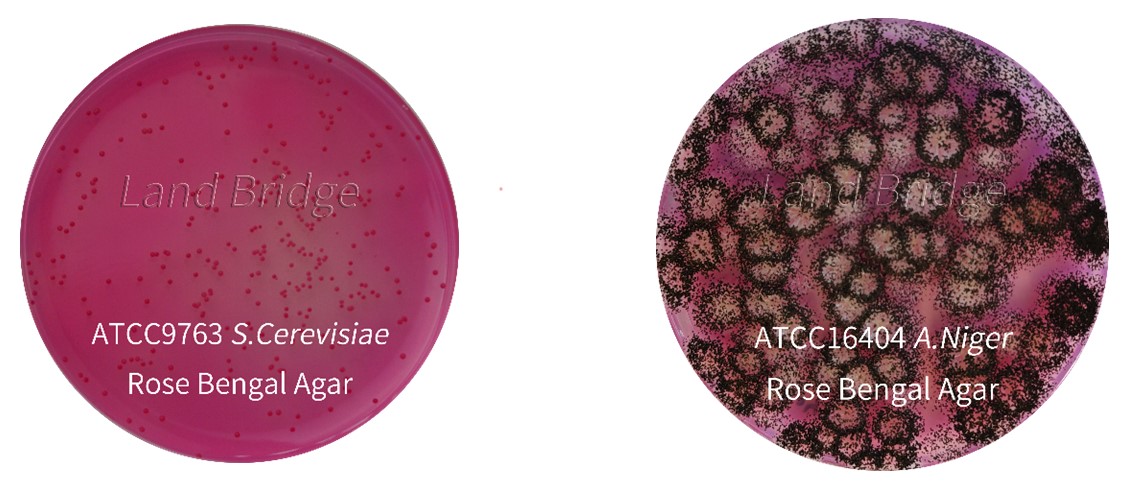 Агар с бенгальским розовым и хлорамфениколом (Rose Bengal Agar), 250 гр