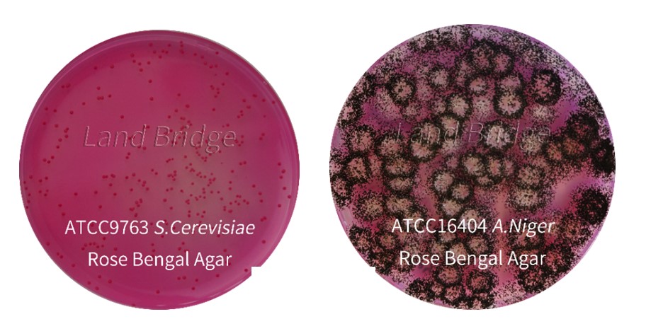 Агар с бенгальским розовым и хлорамфениколом, гранулированный (Rose Bengal Agar), 250 гр