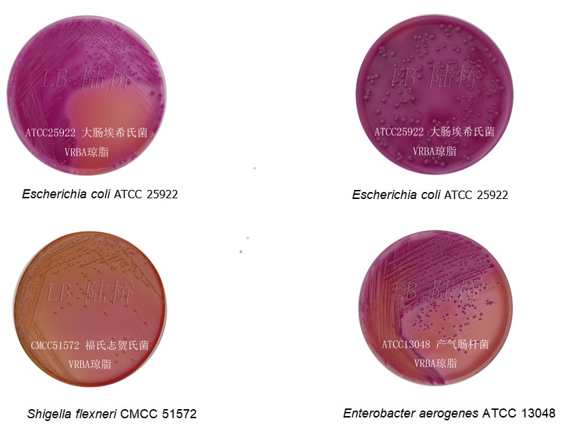 Агар с желчью, лактозой и фиолетовым красным (Crystal violet neutral red bile agar (VRBA), 1000 гр
