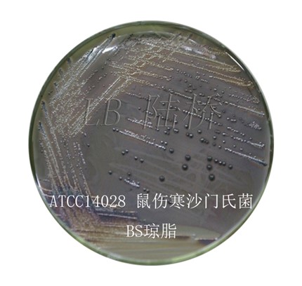 Висмут-сульфит (Bismuth Sulfite Agar), 1000 гр