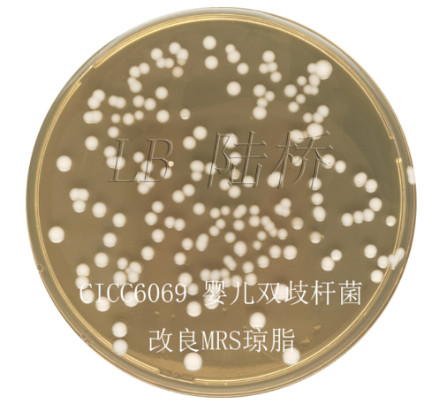 Агар MRS (MRS Agar) / CM188A