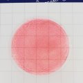 LR1002 Подложка для определения количества колиформных бактерий Майкрофаст (MicroFast® Coliform Count Plate)