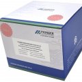 JC0429 Экспресс-тесты PIONER 5 в 1  для определения сульфаниламидов, тилозина, тилмикозина, линкомицина, эритромицина, фторхинолонов ПИОНЕР МЭЙЖЕНГ БИО-ТЕХ (PIONEER MEIZHENG BIO-TECH)